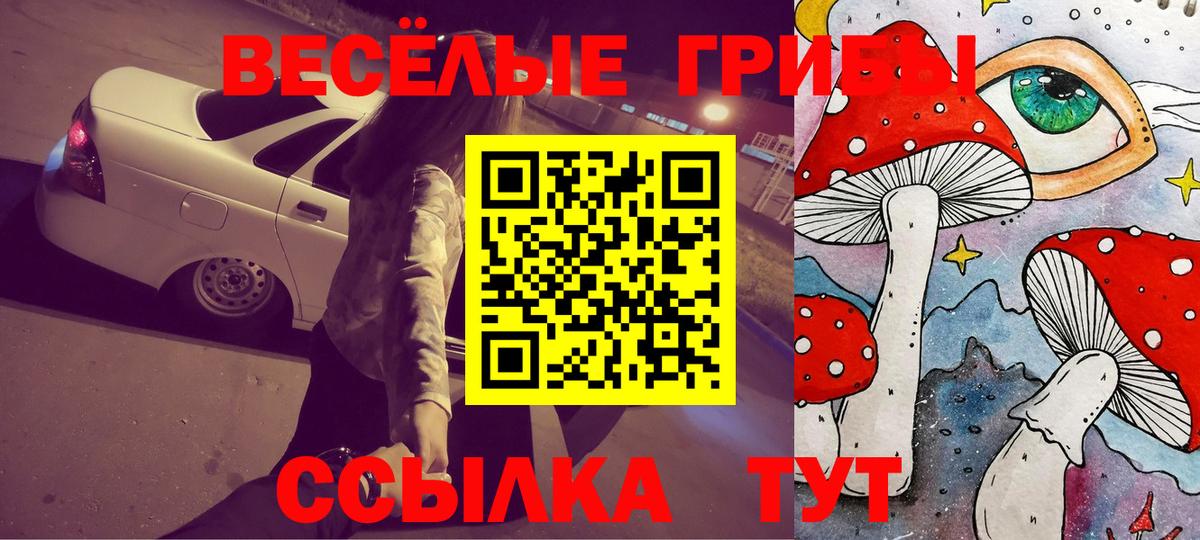 Псилоцибиновые грибы MAGIC MUSHROOMS  купить   Ижевск  Вход с VPN 
