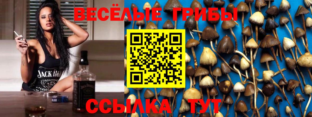 Псилоцибиновые грибы MAGIC MUSHROOMS Ижевск
